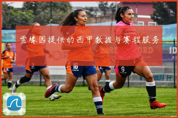 雪缘园提供的西甲数据与赛程服务